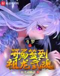 斗罗之开局签到祖龙武魂